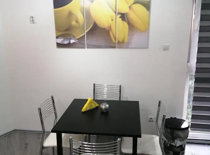 Апартаменты Romana Duplex *